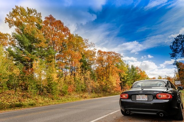Average Car Insurance Costs by State